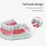 50Pcs Dental Floss Stick - Image 3